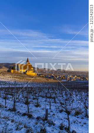 Typical vineyard near Hunawihr near Ribeauville Riquewihr, Haut-Rhin, Region Grand Est, Alsace, France Typical vineyard near Hunawihr near Ribeauville Riquewihr, Haut-Rhin, Region Grand Est, Alsace, France 121242013