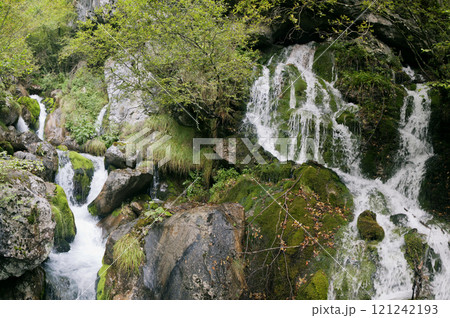 Small waterfall in Northern Italy Small waterfall in Northern Italy 121242193