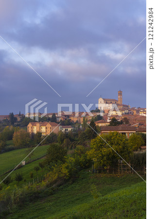 Typical vineyard near Grana Monferrato, Piedmont, Italy 121242984