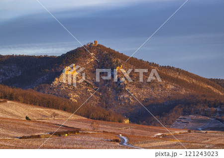 Catle ruins Chateau de Saint-Ulrich, Chateau du Girsberg and Chateau du Haut-Ribeaupierre near Ribeauville, Alsace, France 121243023
