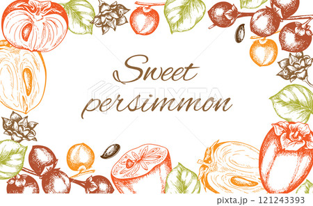 Vintage background with hand drawn persimmon fruits 121243393
