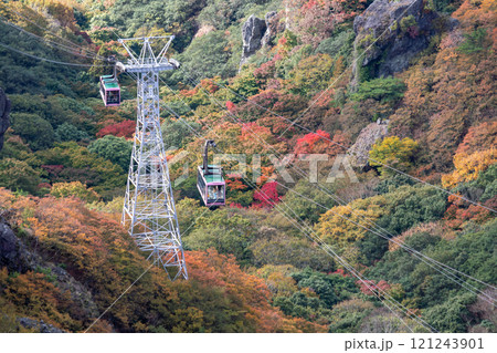 秋の寒霞渓を遊覧　（香川県　小豆島） 121243901