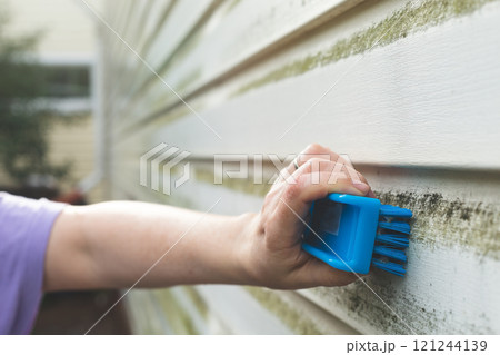 Cleaning algae and mold from vinyl siding of house with brush 121244139