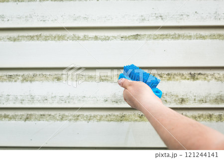 Cleaning algae and mold from vinyl siding of house with brush 121244141