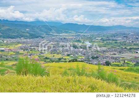 【姨捨の棚田】 長野県千曲市八幡 121244278