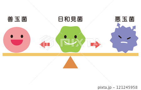 腸内細菌のバランス 腸内フローラ 腸内細菌のバランス 腸内フローラ 121245958