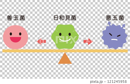 腸道細菌、腸道菌叢的平衡 腸道細菌、腸道菌叢的平衡 121245958