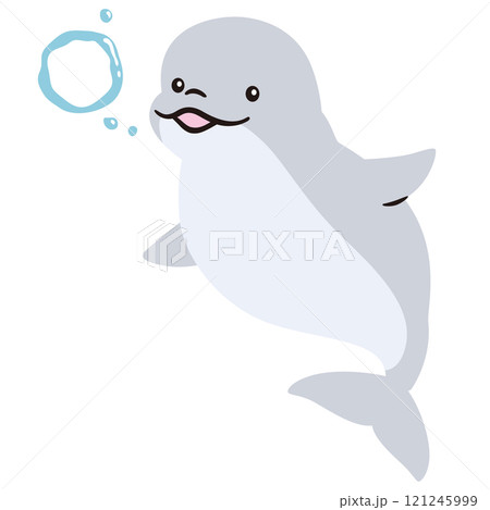イルカ シロイルカ ベルーガ 海洋生物 水族館 イルカ シロイルカ ベルーガ 海洋生物 水族館 121245999