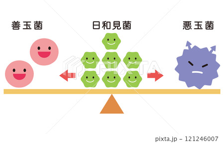 腸内細菌のバランス　腸内フローラ 121246007