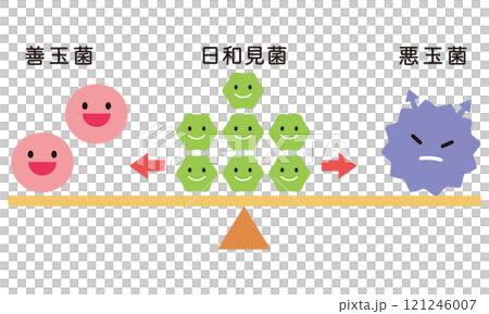 腸内細菌のバランス　腸内フローラ 121246007