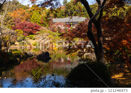 季節を感じる色鮮やかな紅葉　成田山公園 121246973