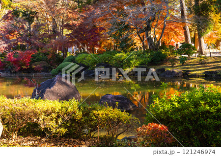 季節を感じる色鮮やかな紅葉 成田山公園 季節を感じる色鮮やかな紅葉 成田山公園 121246974