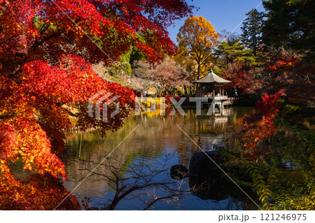 季節を感じる色鮮やかな紅葉 成田山公園 季節を感じる色鮮やかな紅葉 成田山公園 121246975