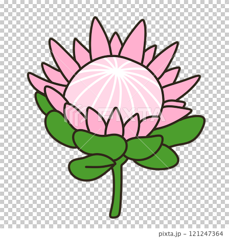 普羅蒂亞 121247364