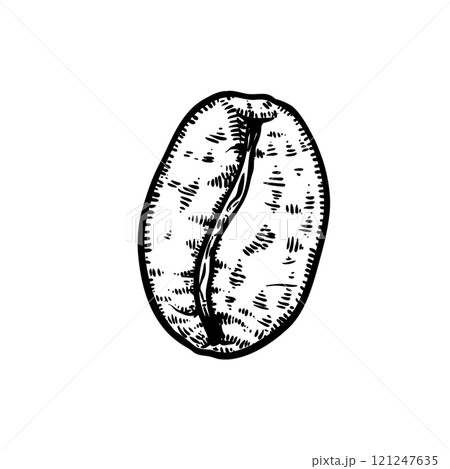 Handdrawn coffee bean illustration 121247635