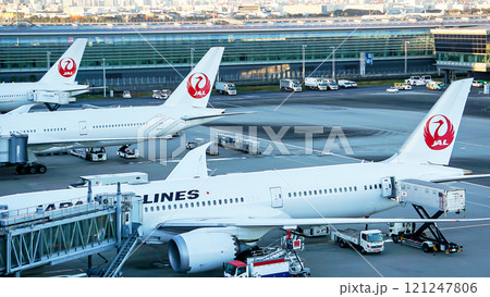羽田空港国際線ターミナルの駐機場に駐機するJAL機 121247806