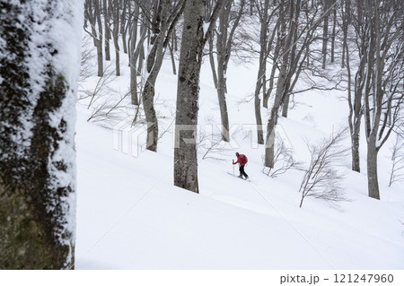登高　山スキー 121247960