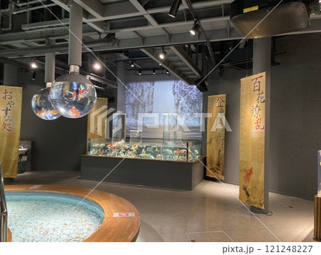 宮島水族館 宮島水族館 121248227