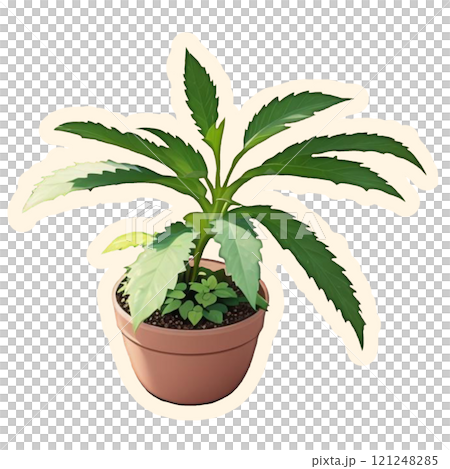 flowers in a pot flowers in a pot 121248285