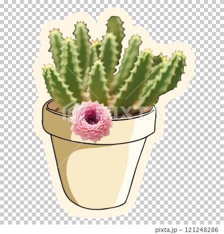 flowers in a pot 121248286