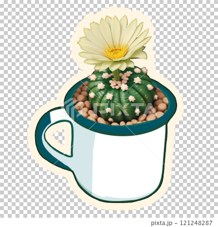 flowers in a pot 121248287