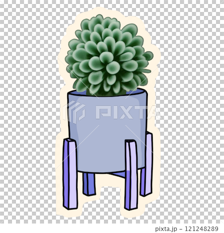 flowers in a pot 121248289