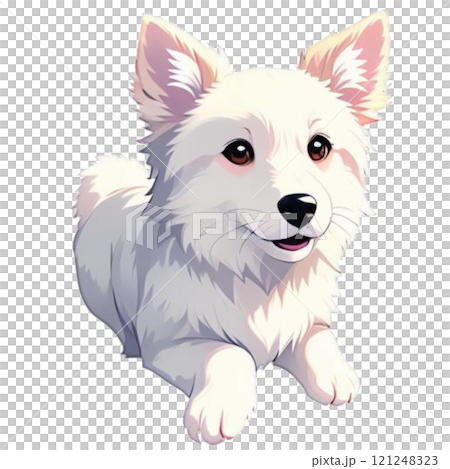 set of small chihuahua 121248323