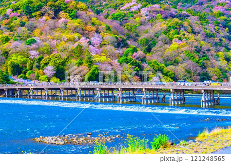 渡月橋と嵐山の桜 渡月橋と嵐山の桜 121248565