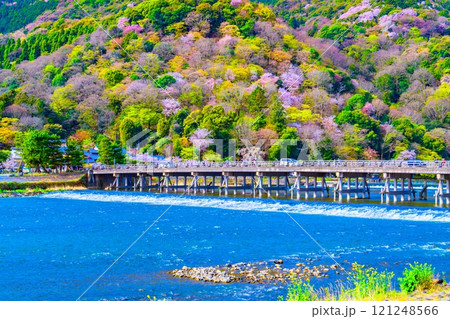 渡月橋と嵐山の桜 渡月橋と嵐山の桜 121248566