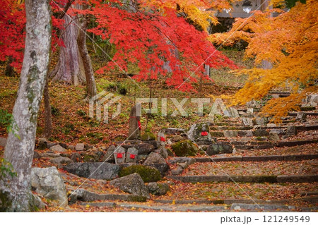 お地蔵様を覆う・京都正法寺の紅葉5 お地蔵様を覆う・京都正法寺の紅葉5 121249549