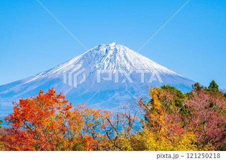 紅葉と富士山 紅葉と富士山 121250218