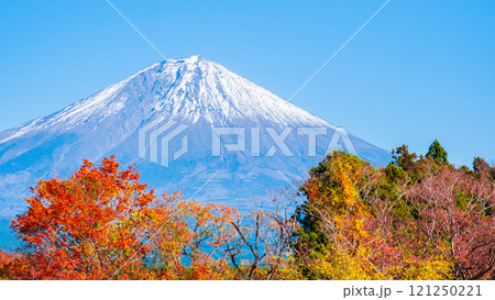 紅葉と富士山 紅葉と富士山 121250221