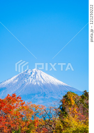 紅葉と富士山 121250222