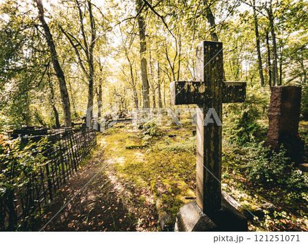 A peaceful cemetery pathway lies under sunlit trees, highlighting natures beauty and the essence of remembrance 121251071