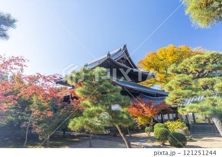 秋の京都　西陣興聖寺　紅葉に包まれた本堂 121251244