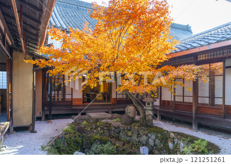 秋の京都 西陣興聖寺 紅葉に包まれた降り蹲踞 秋の京都 西陣興聖寺 紅葉に包まれた降り蹲踞 121251261