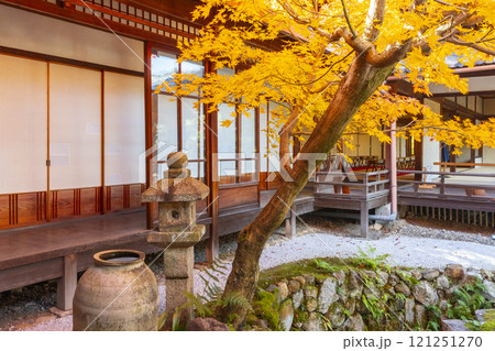 秋の京都　西陣興聖寺　紅葉に包まれた降り蹲踞 121251270