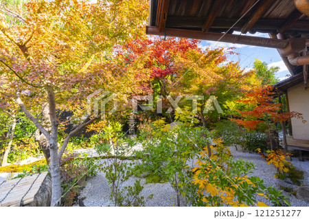 秋の京都　西陣興聖寺　雲了庵前の庭園 121251277
