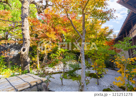 秋の京都　西陣興聖寺　雲了庵前の庭園 121251278
