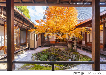 秋の京都 西陣興聖寺 紅葉に包まれた降り蹲踞 秋の京都 西陣興聖寺 紅葉に包まれた降り蹲踞 121251279