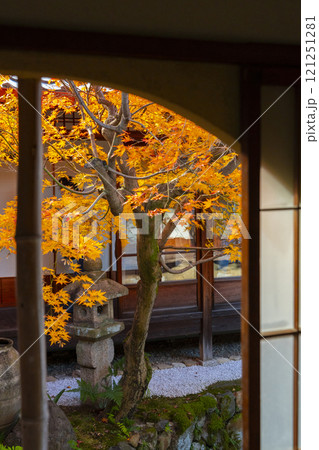 秋の京都　西陣興聖寺　紅葉に包まれた降り蹲踞 121251281