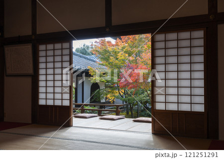 秋の京都 西陣興聖寺 紅葉が美しい方丈前庭園 秋の京都 西陣興聖寺 紅葉が美しい方丈前庭園 121251291