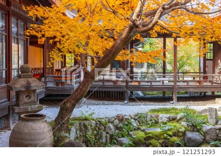 秋の京都　西陣興聖寺　紅葉に包まれた降り蹲踞 121251293