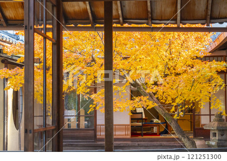 秋の京都　西陣興聖寺　紅葉に包まれた降り蹲踞 121251300