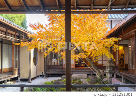 秋の京都　西陣興聖寺　紅葉に包まれた降り蹲踞 121251301