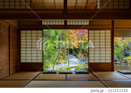 秋の京都 西陣興聖寺 雲了庵から見える庭園 秋の京都 西陣興聖寺 雲了庵から見える庭園 121251310
