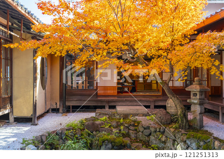 秋の京都　西陣興聖寺　紅葉に包まれた降り蹲踞 121251313