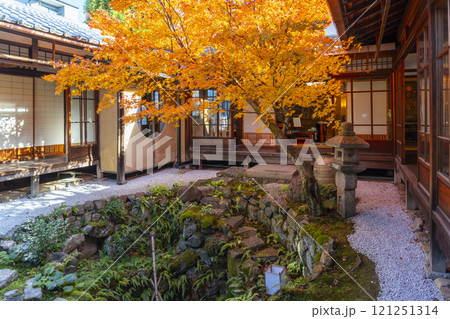 秋の京都　西陣興聖寺　紅葉に包まれた降り蹲踞 121251314