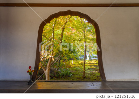 秋の京都　西陣興聖寺　火灯窓から見える庭 121251316