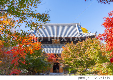 秋の京都 西陣興聖寺 紅葉に包まれた本堂 秋の京都 西陣興聖寺 紅葉に包まれた本堂 121251319
